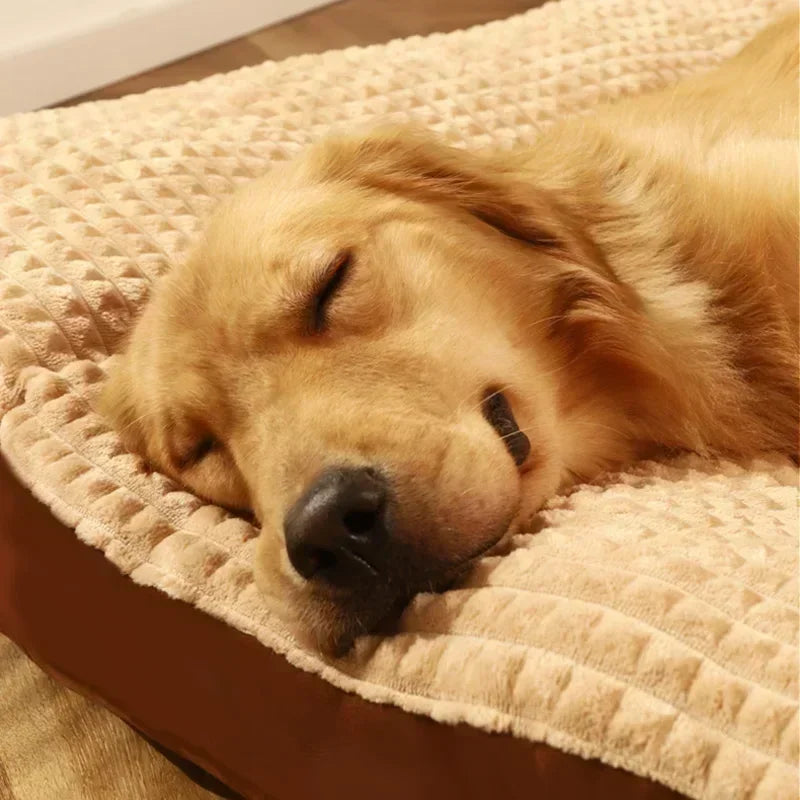 Dogs Sleeping Beds Soft Fleece Pet Blanket Detachable Cat Puppy